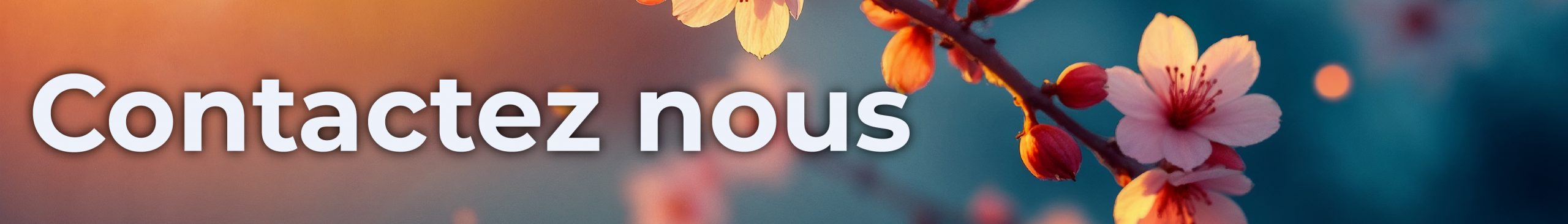 Contactez Tokia, bar à sushis et poké bowls artisanaux à Ruoms en Ardèche